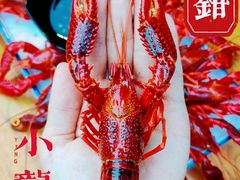 -二钳洞庭虾蟹·江湖菜(成都鹭岛店)