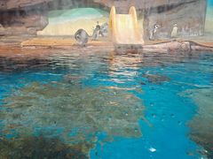 -海合安武汉极地海洋公园