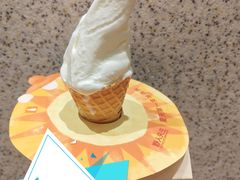 -野人先生现做冰淇淋(北京环宇荟店)