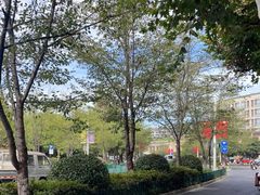 -全乐鱼馆·淳牌有机鱼直营店