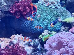 -珠海长隆海洋王国