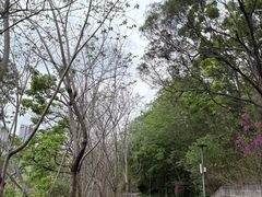 -攀枝花公园