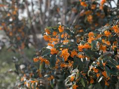 -上海浦江郊野公园-4号停车场