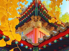 -承恩寺