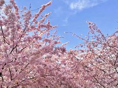 -金掌勺东北菜(格兰晴天店)