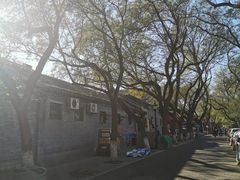 -北京国子监胡同