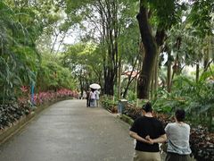 -长安公园