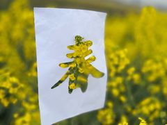 -中国天府农业博览园