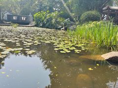 -深圳国际园林花卉博览园