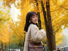 -重庆市江北嘴中央商务区中央公园