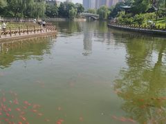 -迎泽公园