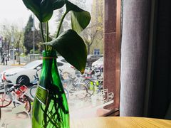 -ZING COFFEE 镜咖啡