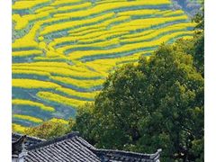 -伪满皇宫博物院