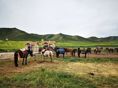 -扁都口生态休闲旅游区