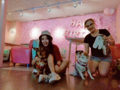 -百好乐宠物友好餐厅(朝外大街店)