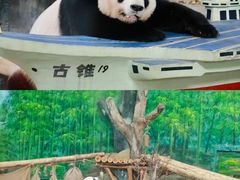 -灵玲国际马戏城