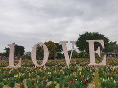 -广东花都香草世界旅游度假区