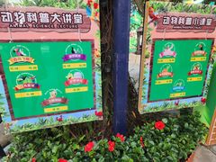 -广州长隆飞鸟乐园
