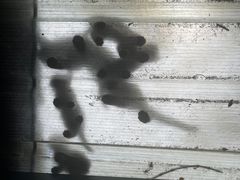 -稀物集咖啡(徽州大道店)