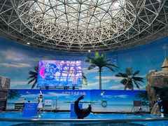 -长春中泰海洋世界