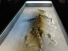 -世界恐龙谷景区