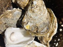 -蚝堡·生蚝海鲜烧烤物种起源•海肠捞饭(刘公岛店)