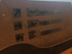 -演武大桥观景平台