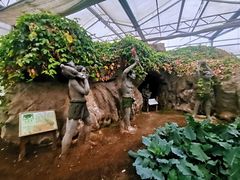 -上海都市菜园
