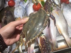 -沈家门海鲜夜排档(东港店)