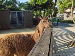 -上方山森林动物世界