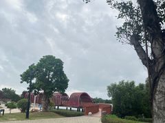 -芒洲湿地公园