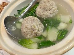 扬州狮子头-丁老爷子苏香圆