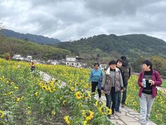 -塔川景区