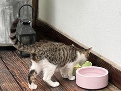 -几静cafe(基湖店)