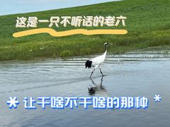 -黑龙江扎龙生态旅游区