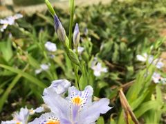 -白塘生态植物园