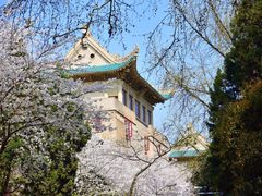 -武汉大学-樱园
