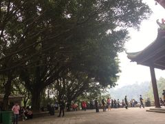 -南沙天后宫景区