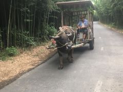 -杭州双溪漂流景区