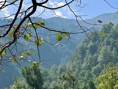 -苍山感通索道