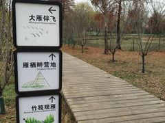 -东湖落雁景区