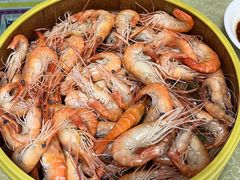 清蒸河虾-东胜客河鲜店·西江河鲜·老字號渔家菜