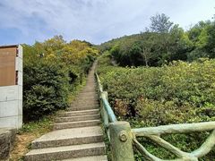 -梧桐山风景名胜区