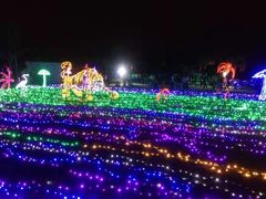-亚龙湾国际玫瑰谷