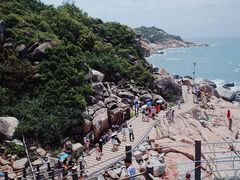 -广东惠东海龟国家级自然保护区