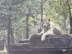-秦皇岛野生动物园