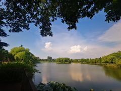 -上海市保健医疗中心