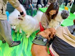 -1013 PET SHOP 宠物商店(近铁城市广场店)