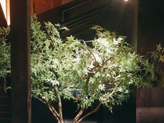 -锦城印象火锅(天府三街店)