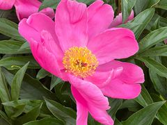 -长春公园(普阳街道)